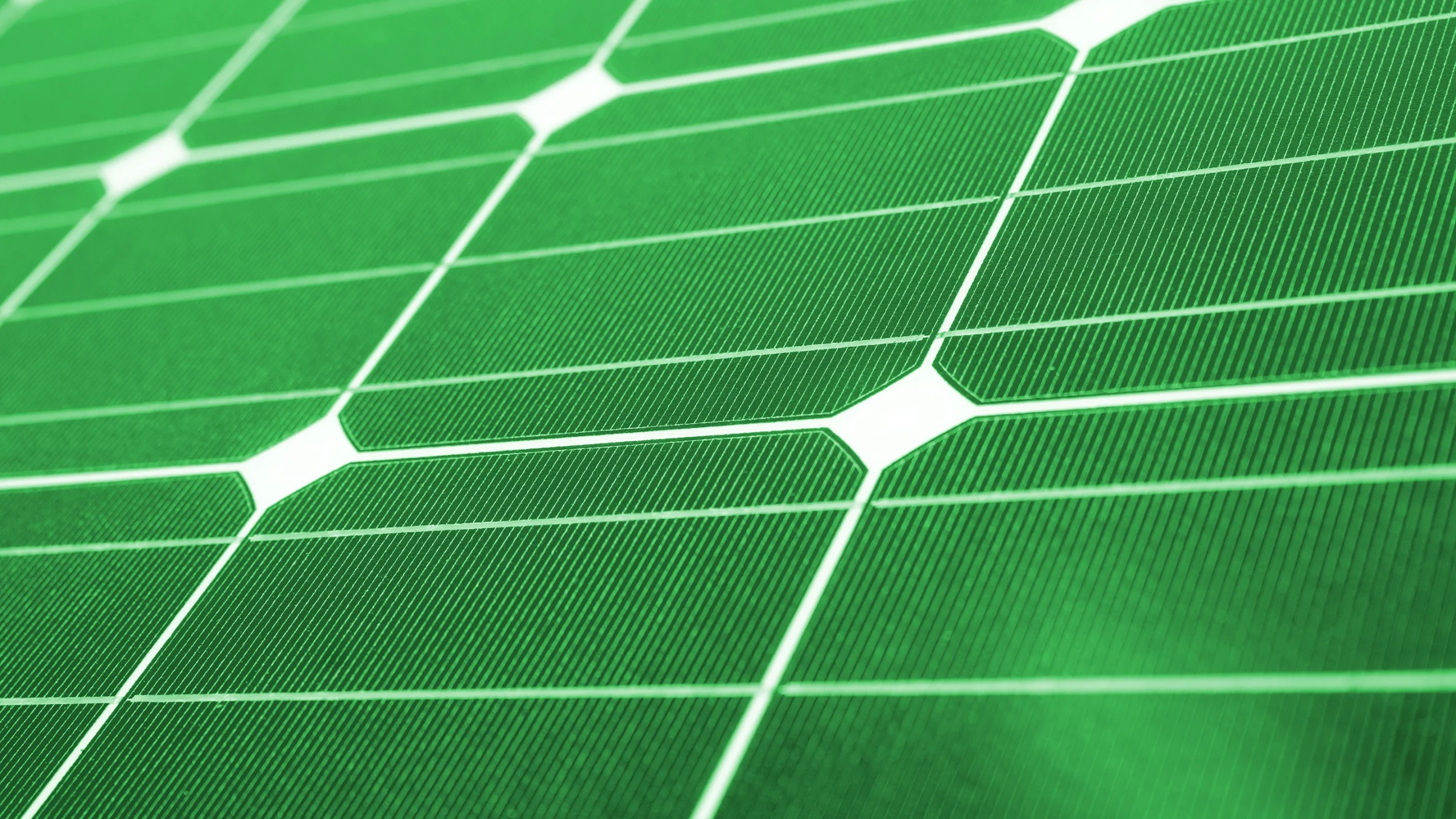 A white grid on a green background