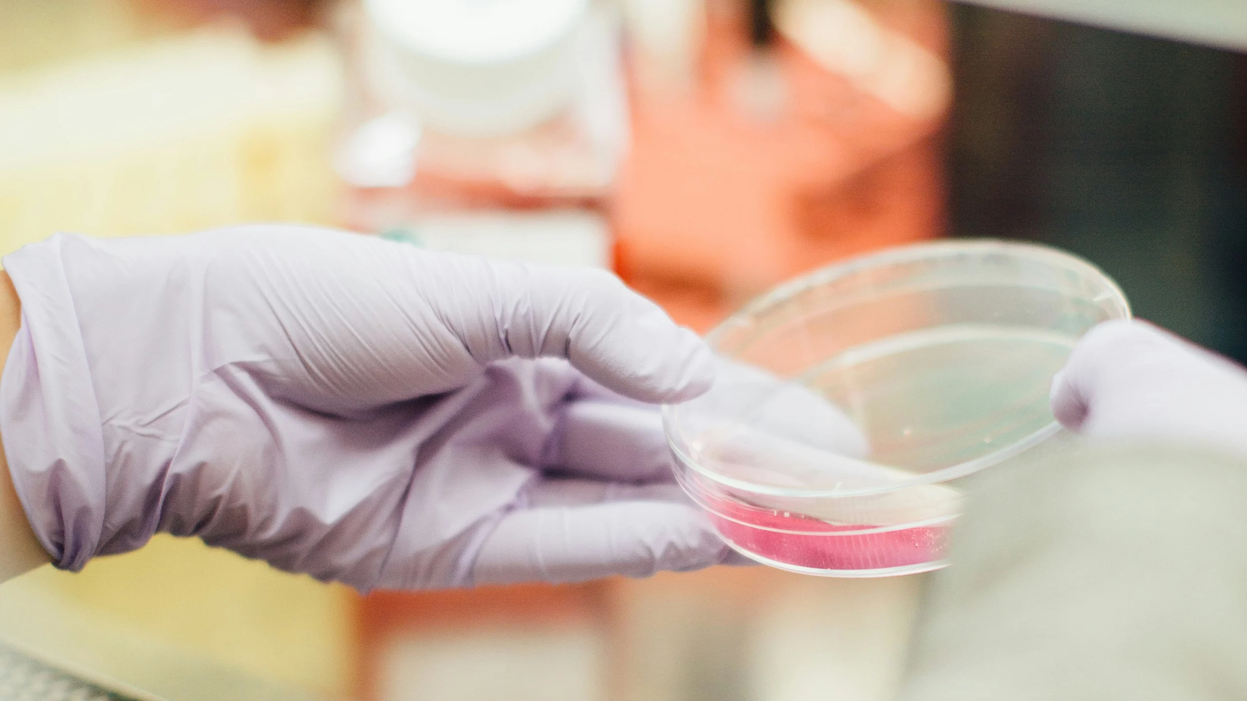 A scientist's hands holding a Petri dish